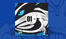 Load image into Gallery viewer, BSBRDSM001 - Unknown Artists - DSM Promo 01