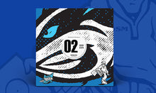 Load image into Gallery viewer, BSBRDSM002- Unknown Artists - DSM Promo 02