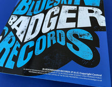 Load image into Gallery viewer, BSBRDSM001 - Unknown Artists - DSM Promo 01