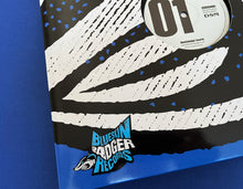 Load image into Gallery viewer, BSBRDSM001 - Unknown Artists - DSM Promo 01