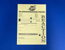 Load image into Gallery viewer, BSBRDSM002- Unknown Artists - DSM Promo 02