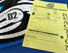 Load image into Gallery viewer, BSBRDSM002- Unknown Artists - DSM Promo 02