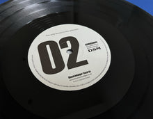 Load image into Gallery viewer, BSBRDSM002- Unknown Artists - DSM Promo 02