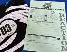 Load image into Gallery viewer, BSBRDSM003 - Unknown Artists - DSM Promo 03