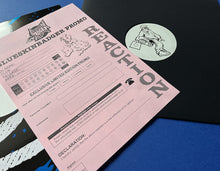 Load image into Gallery viewer, BSBRDSM006 - Unknown Artists - DSM Promo 06