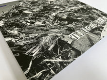 Load image into Gallery viewer, BSBR016 Ltd Edition 180g purple vinyl - Catatonic EP by Thugwidow