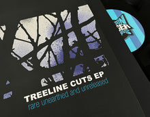 Load image into Gallery viewer, BSBR021 - Omni Trio - Treeline Cuts EP - 180g Black Vinyl