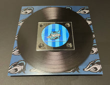 Load image into Gallery viewer, BSBRDIGITALS - USB Stick with 73 digital music files - Blueskinbadger catalogue BSBR001 - BSBR020