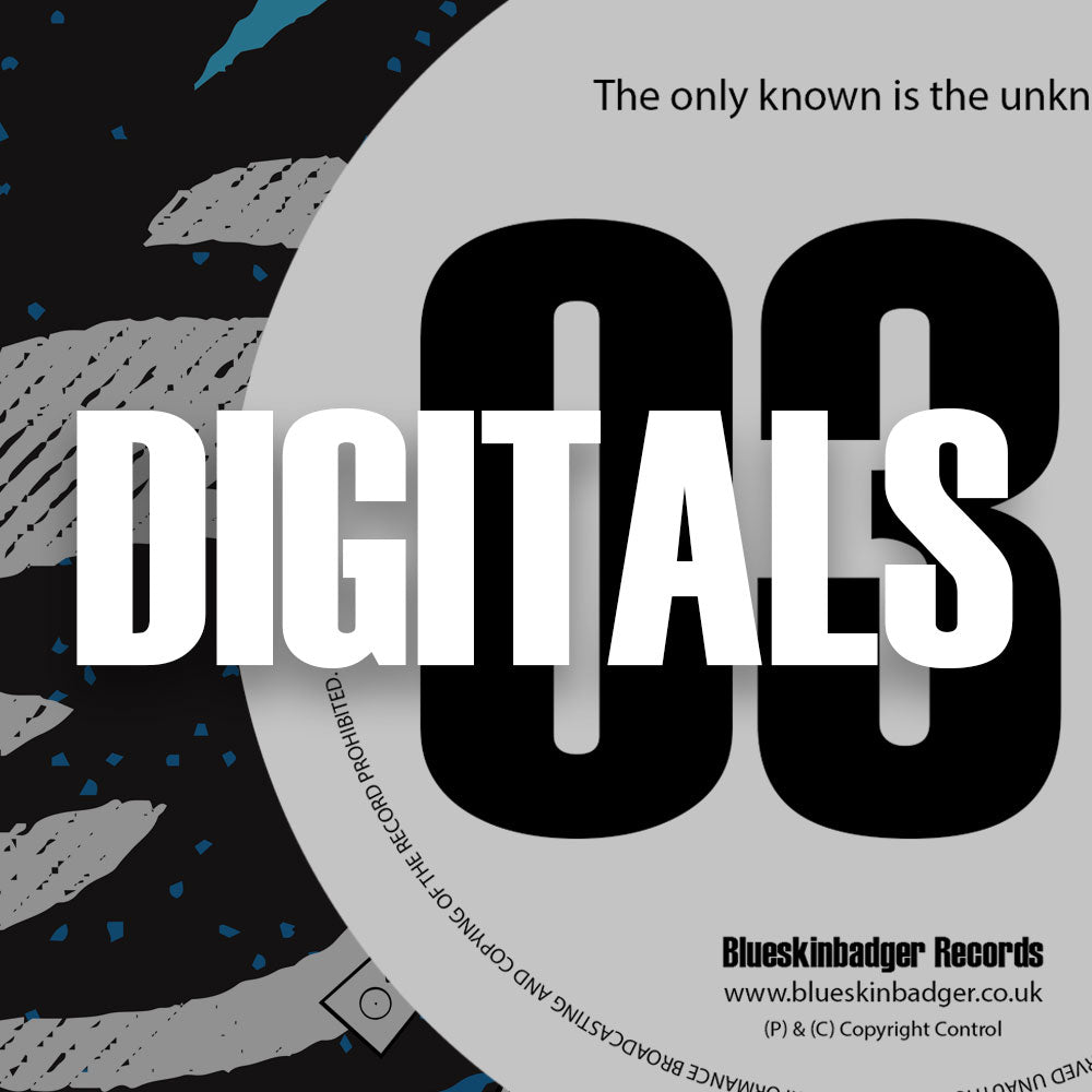 BSBRDSM003 - DIGITAL RELEASE - Unknown Artists - DSM Promo 03