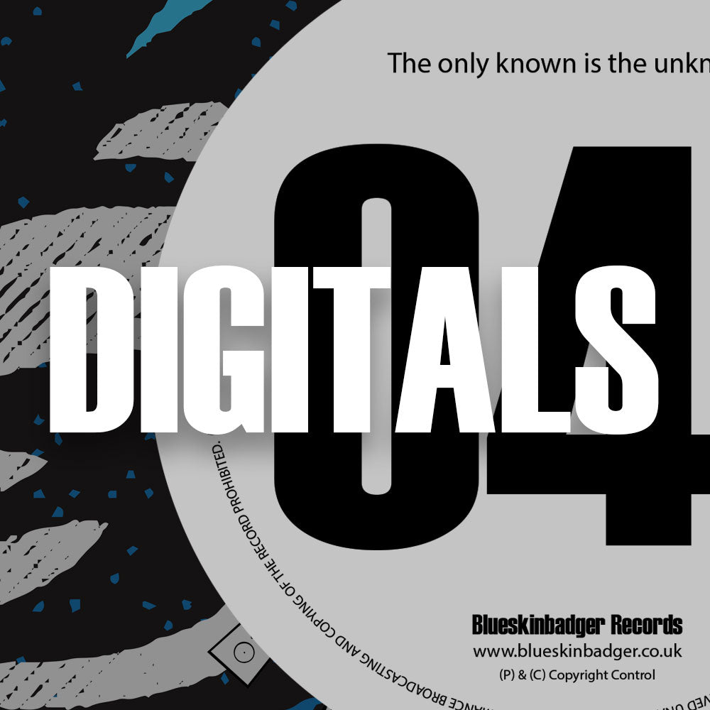 BSBRDSM004 - DIGITAL RELEASE - Unknown Artists - DSM Promo 04