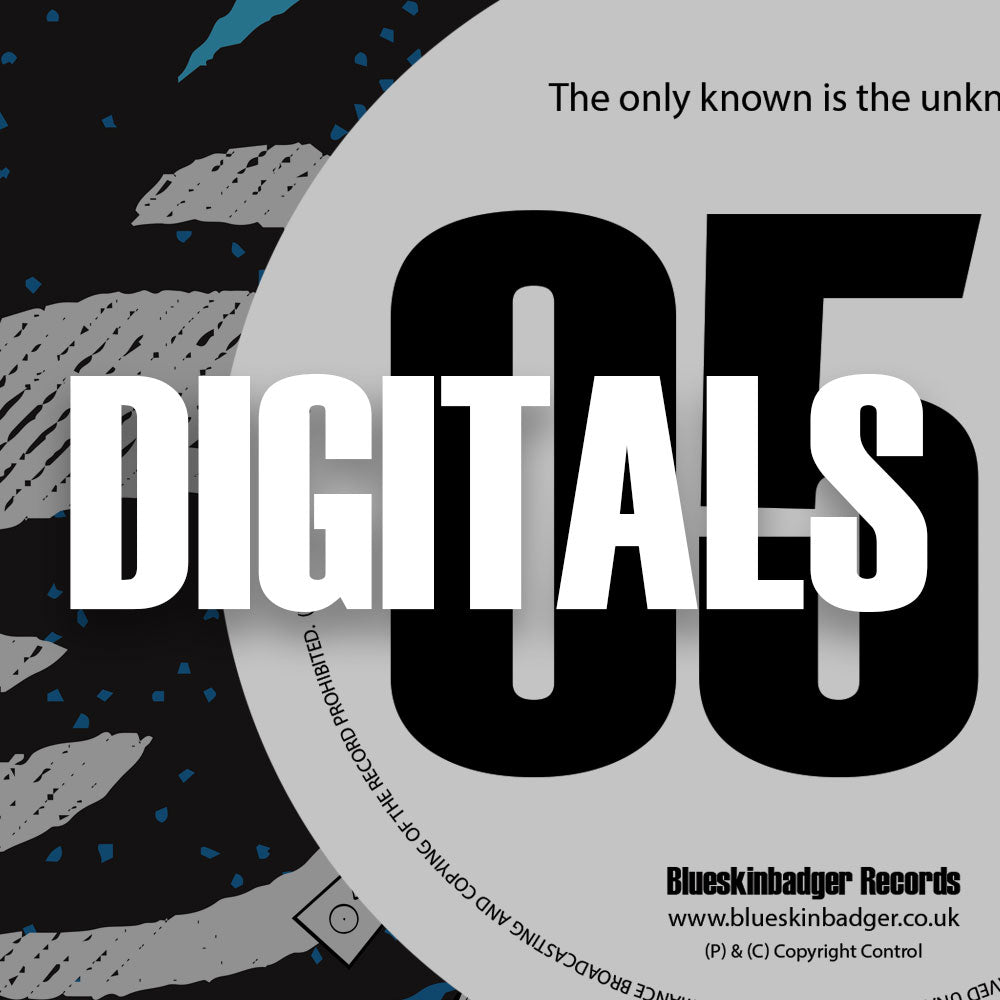 BSBRDSM005 - DIGITAL RELEASE - Unknown Artists - DSM Promo 05
