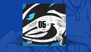 BSBRDSM005 - Unknown Artists - DSM Promo 05