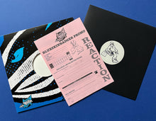 Load image into Gallery viewer, BSBRDSM006 - Unknown Artists - DSM Promo 06

