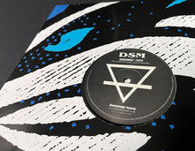 Load image into Gallery viewer, BSBRDSM007 - Unknown Artists - Earth EP
